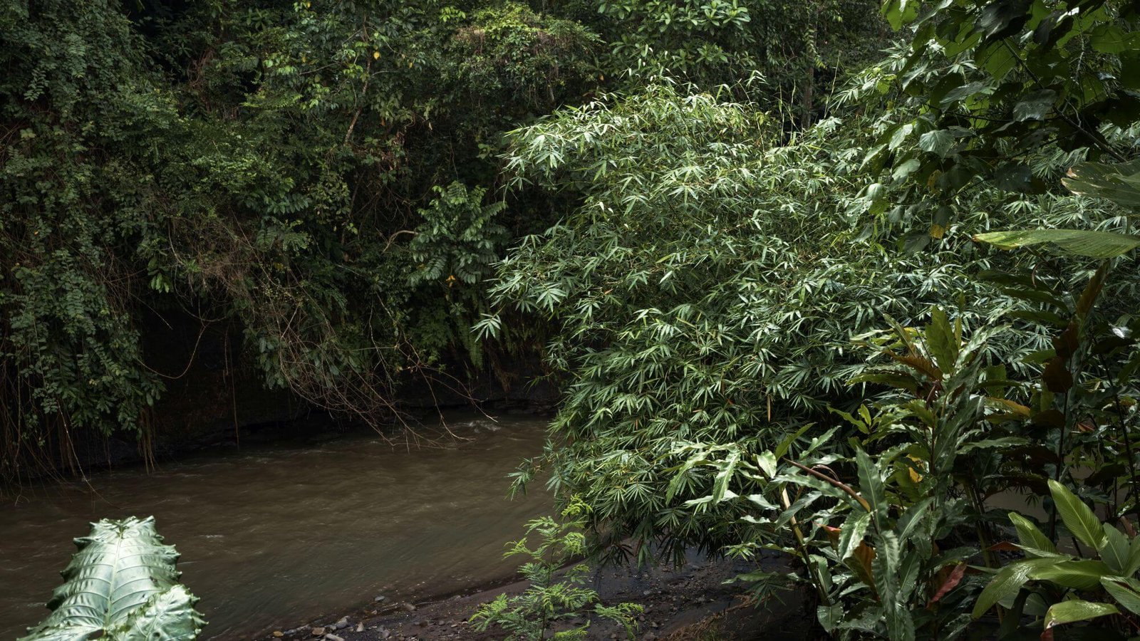 Bali Villa for Sale by the River