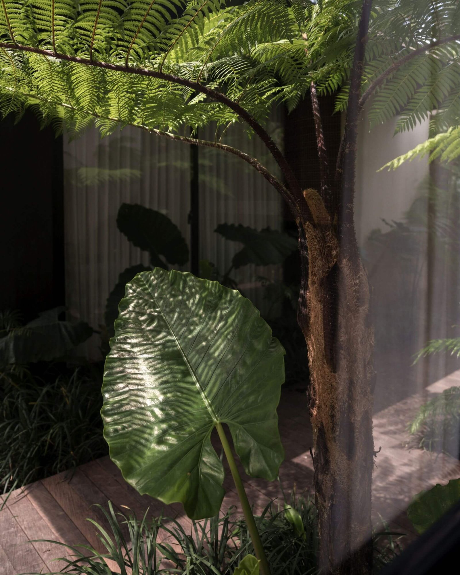 Riverside Living Space The Singapadu