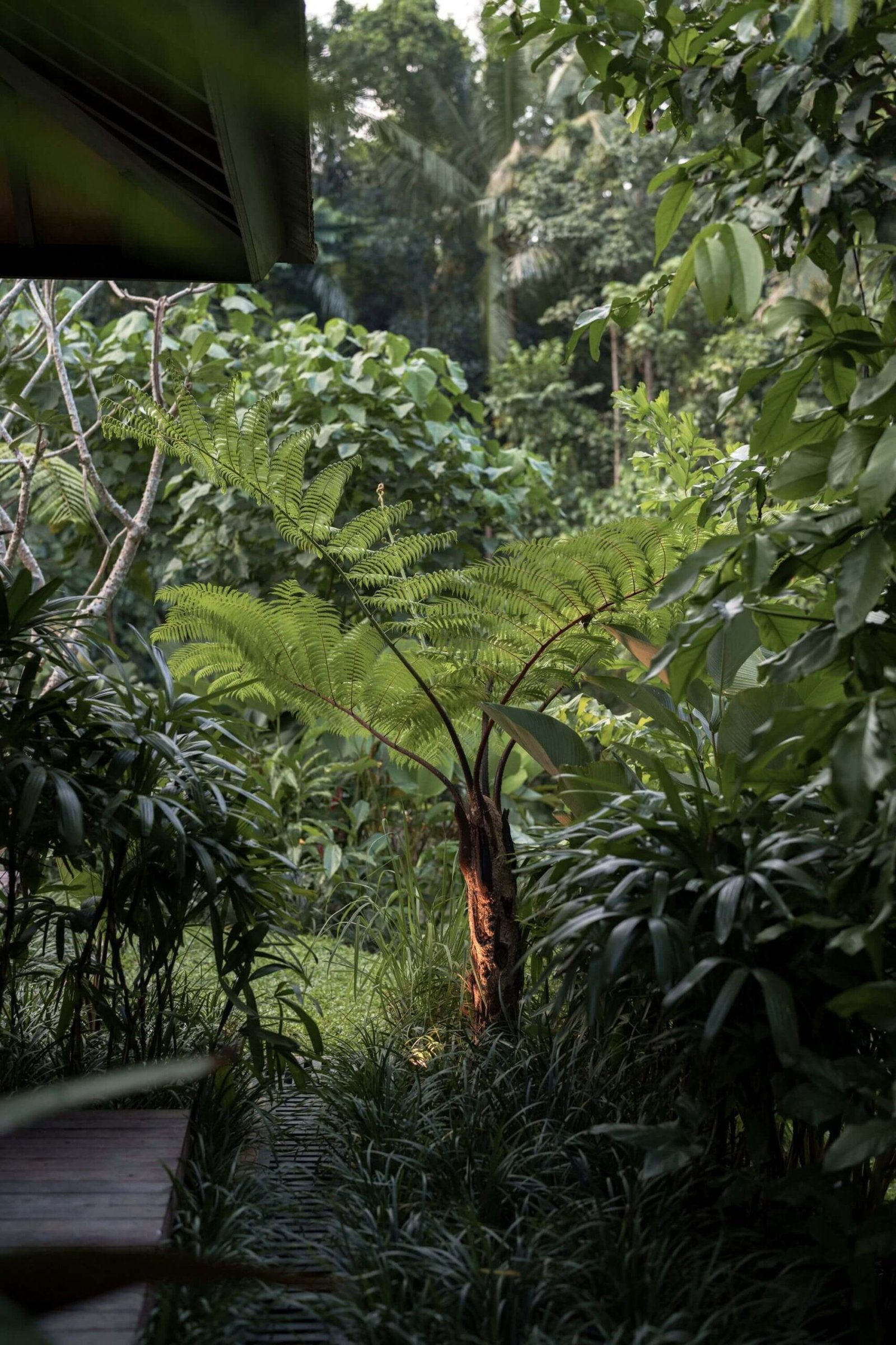 The Singapadu Jungle View Villa